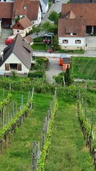 IMG-20220509-WA0028