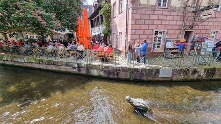 IMG-20220509-WA0023