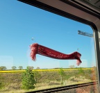 IMG-20220509-WA0212