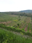 IMG-20220510-WA0024