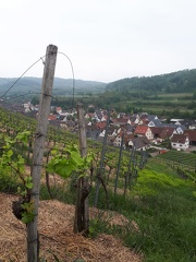 IMG-20220510-WA0029