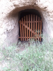 IMG-20220510-WA0018