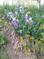 IMG-20220510-WA0021
