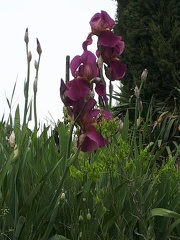 IMG-20220510-WA0020