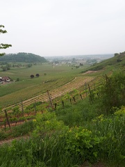 IMG-20220510-WA0000