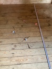 IMG-20250531-WA0021
