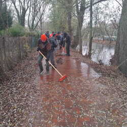 Bachparty / Wuhlesäuberung