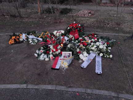 IMG-20260227-WA0017