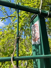 IMG-20260417-WA0008