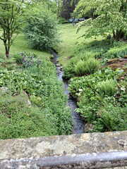 IMG-20260510-WA0036